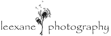 leexanephotos.com logo